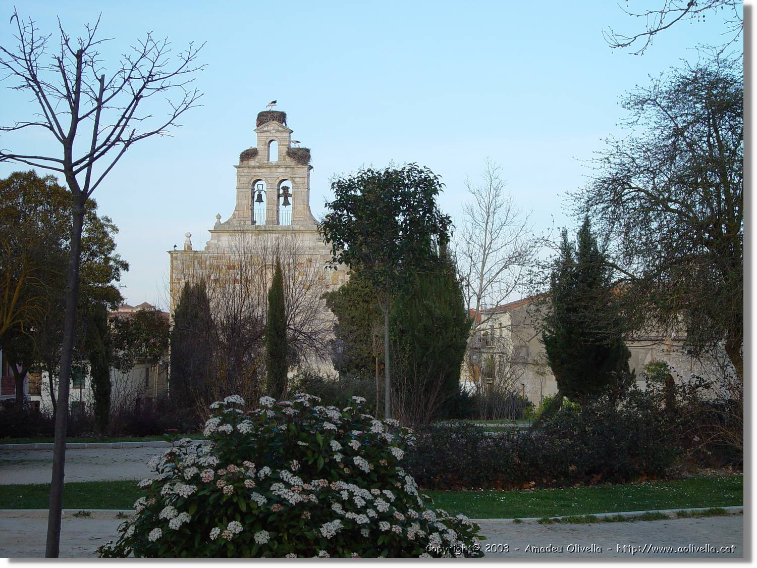 Zamora_026.jpg