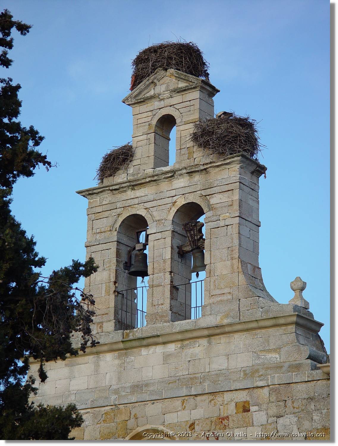 Zamora_029.jpg