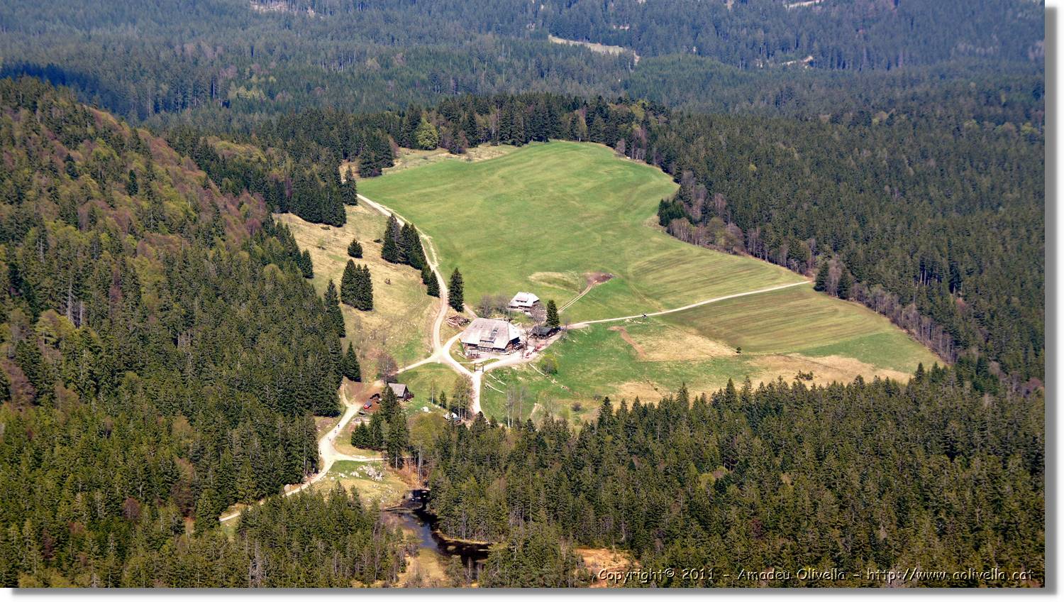 Feldberg_07.jpg