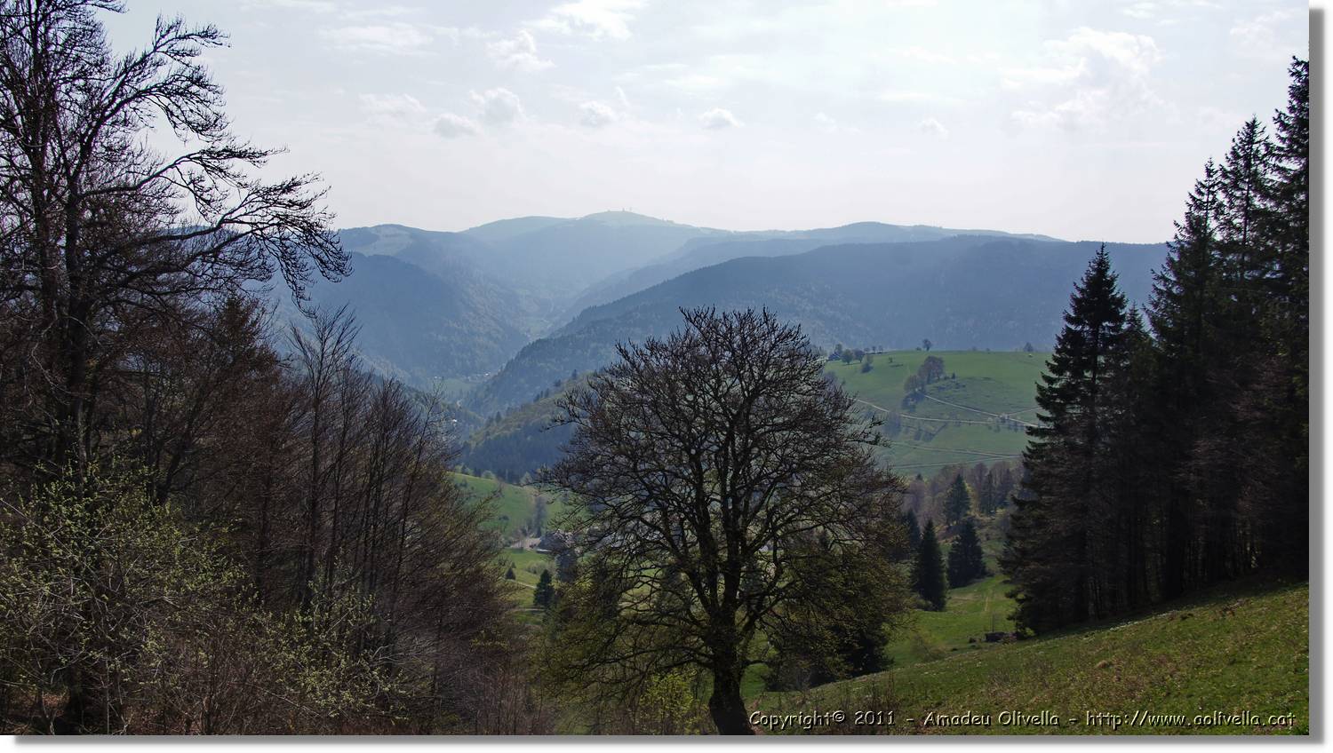 Schauinsland_01.jpg