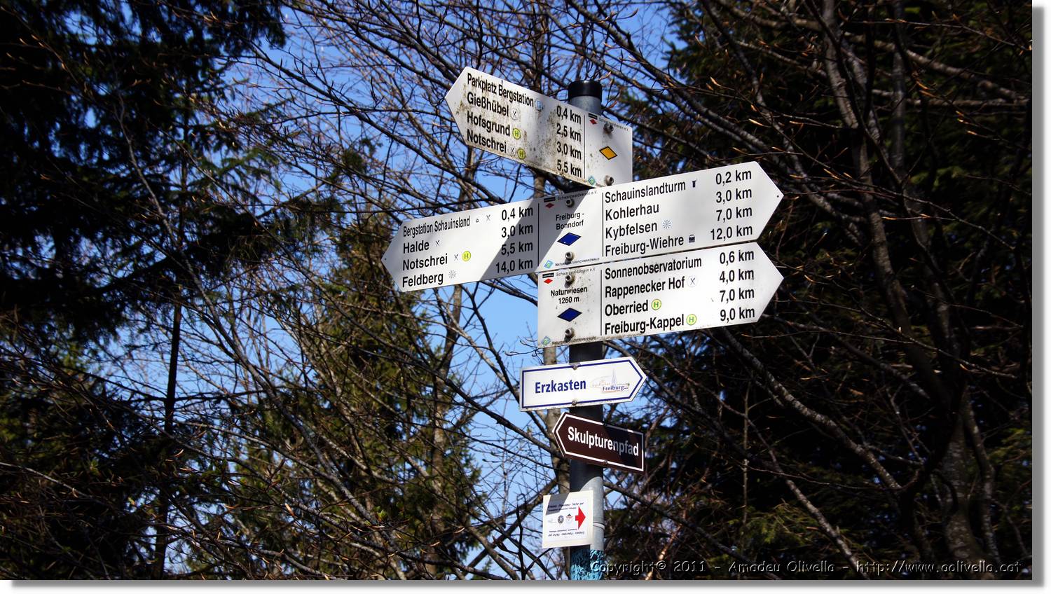 Schauinsland_06.jpg