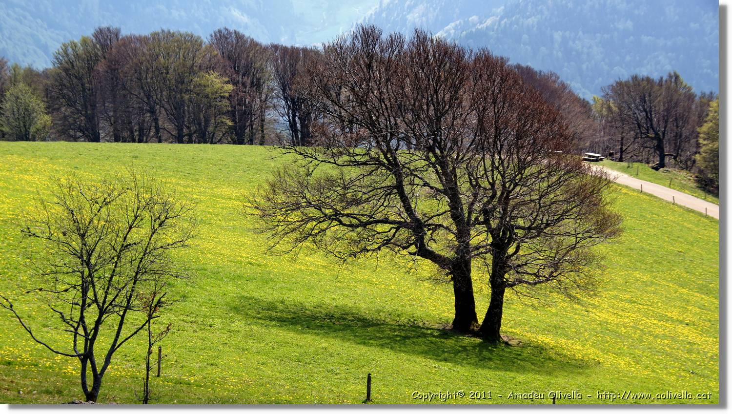 Schauinsland_11.jpg