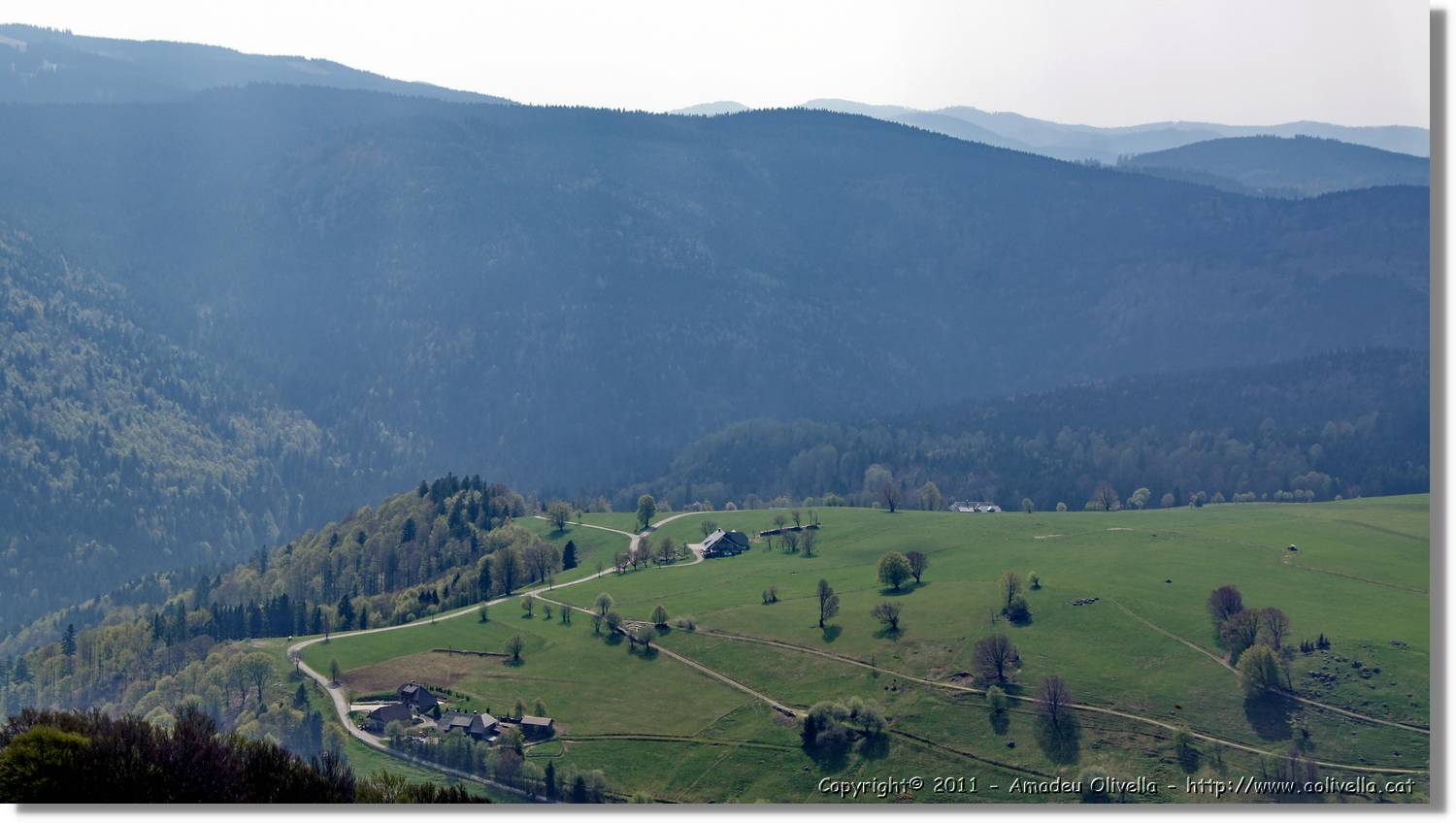 Schauinsland_12.jpg