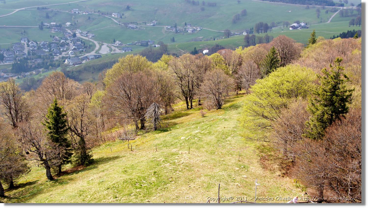 Schauinsland_19.jpg