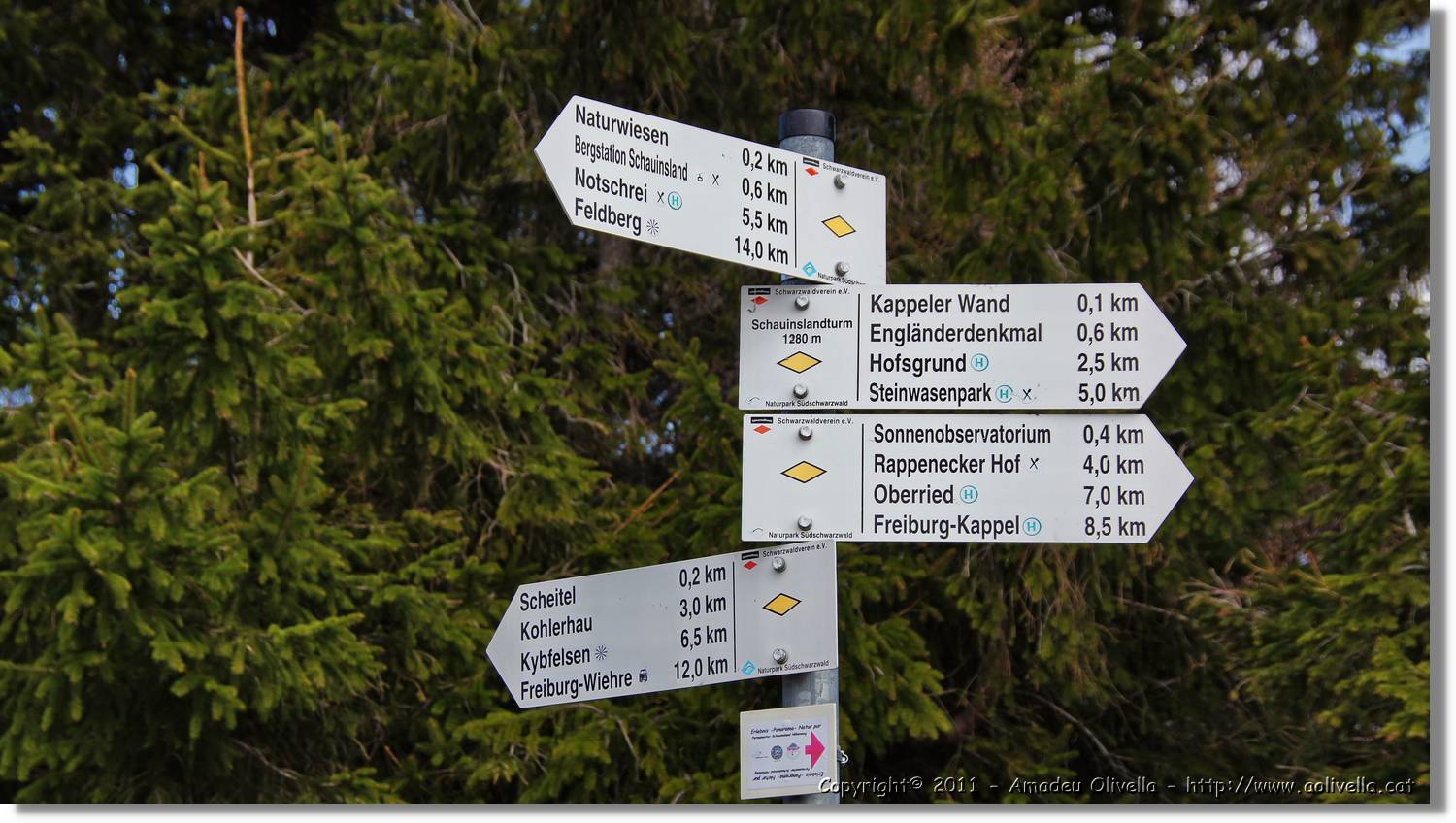 Schauinsland_22.jpg