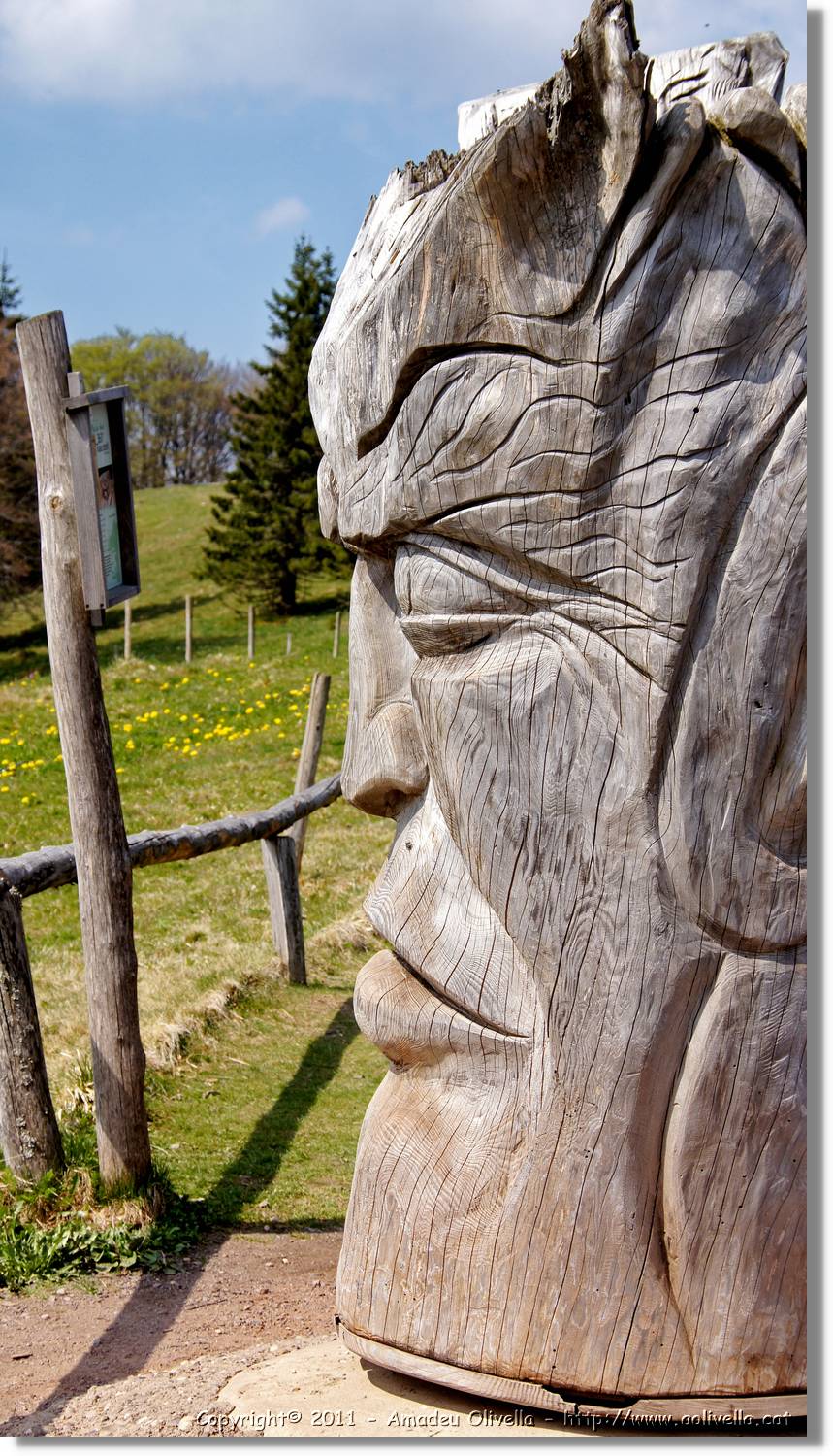 Schauinsland_25.jpg