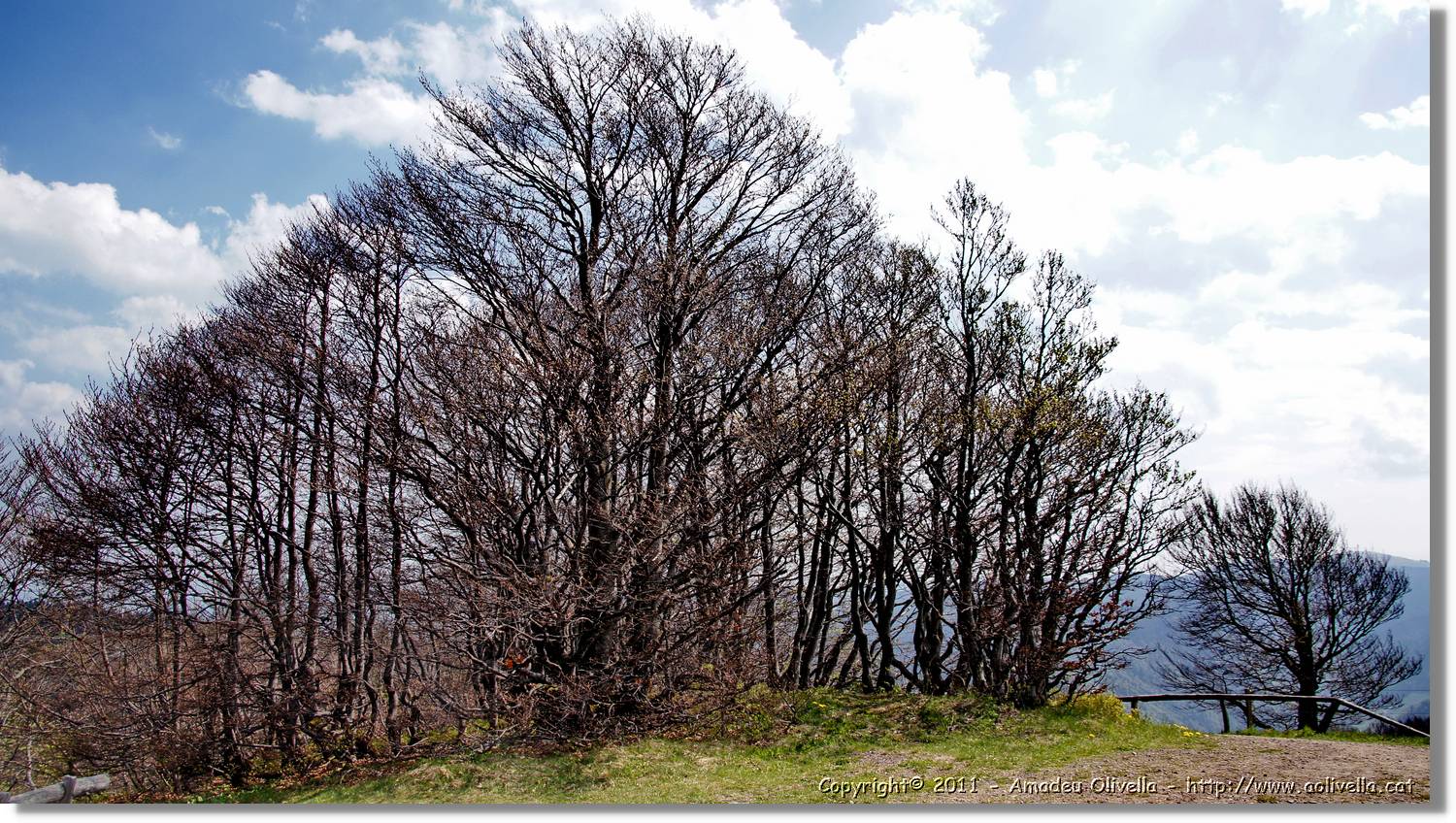 Schauinsland_31.jpg