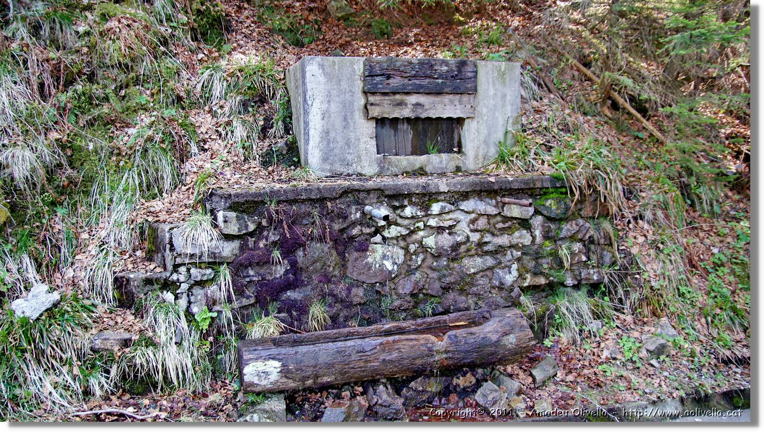 Schauinsland_36.jpg