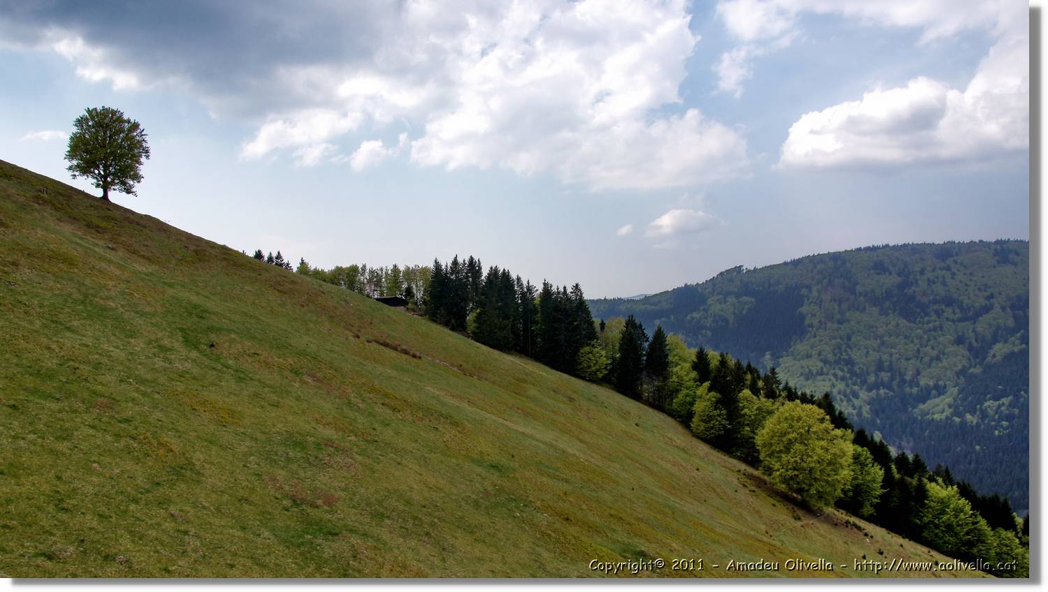 Todnau_18.jpg