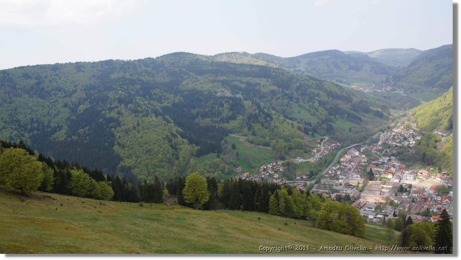 Todnau_19.jpg