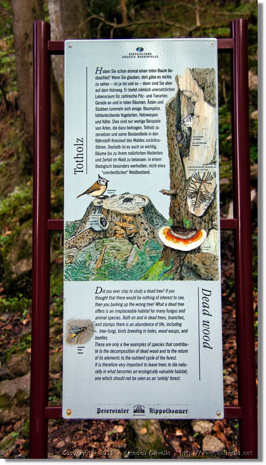 Triberg_14.jpg