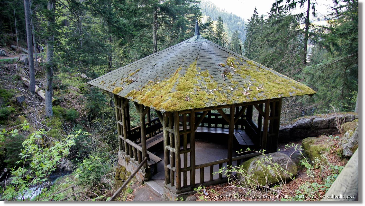 Triberg_22.jpg