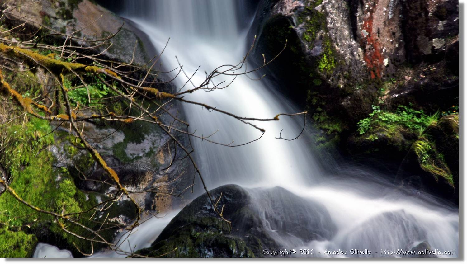 Triberg_35.jpg