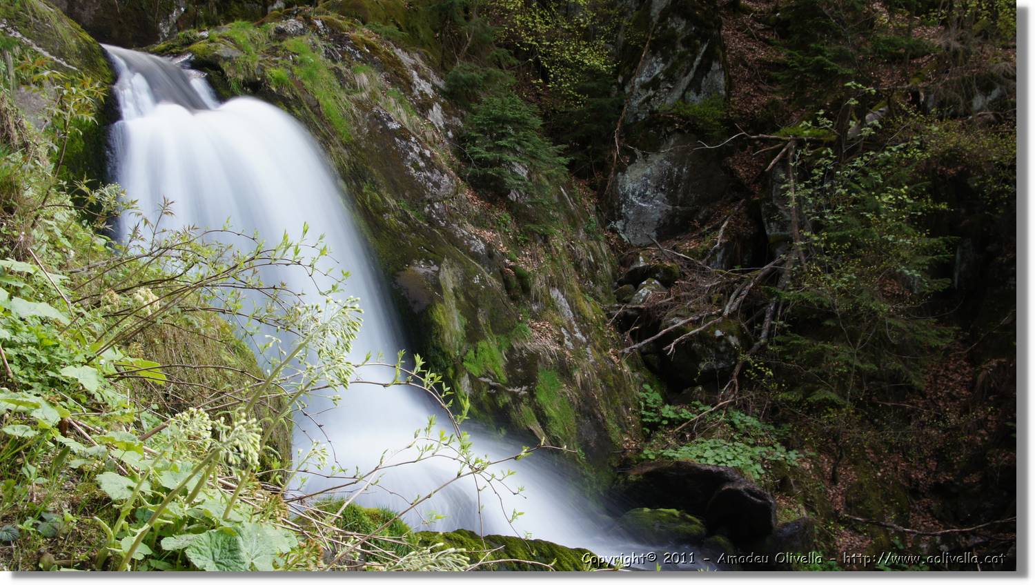 Triberg_38.jpg