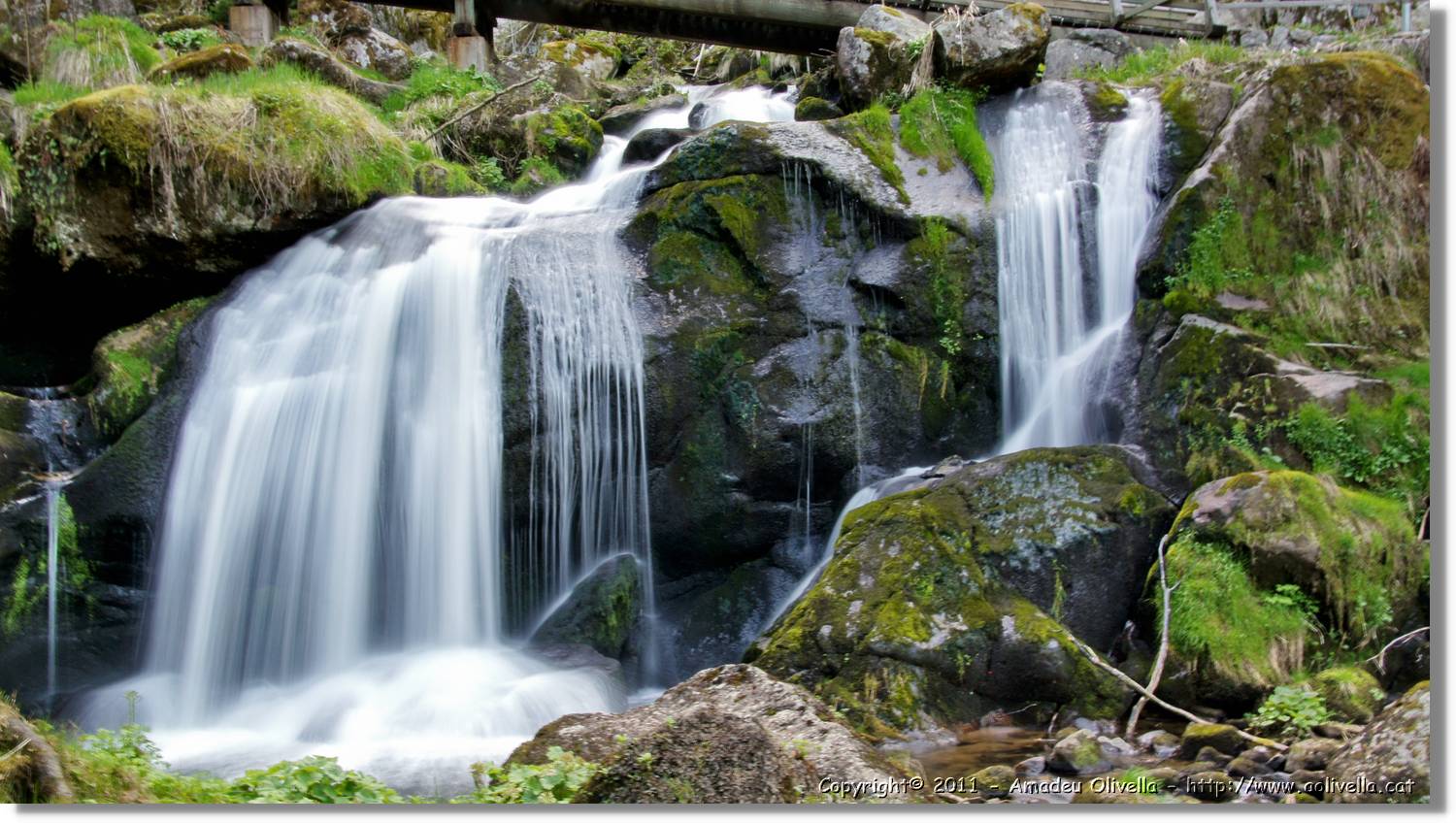 Triberg_39.jpg
