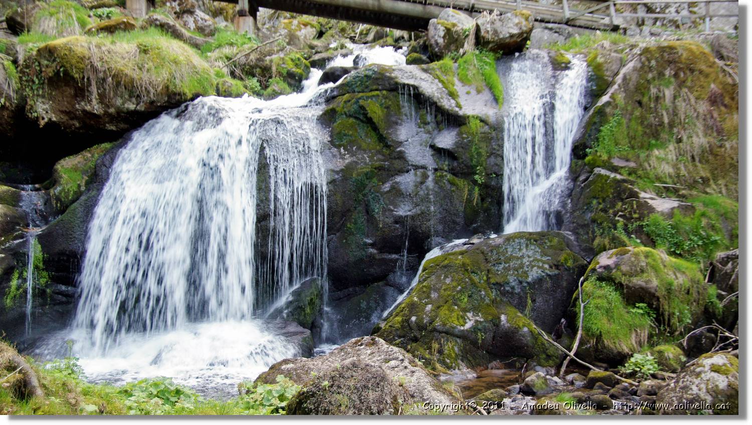 Triberg_40.jpg
