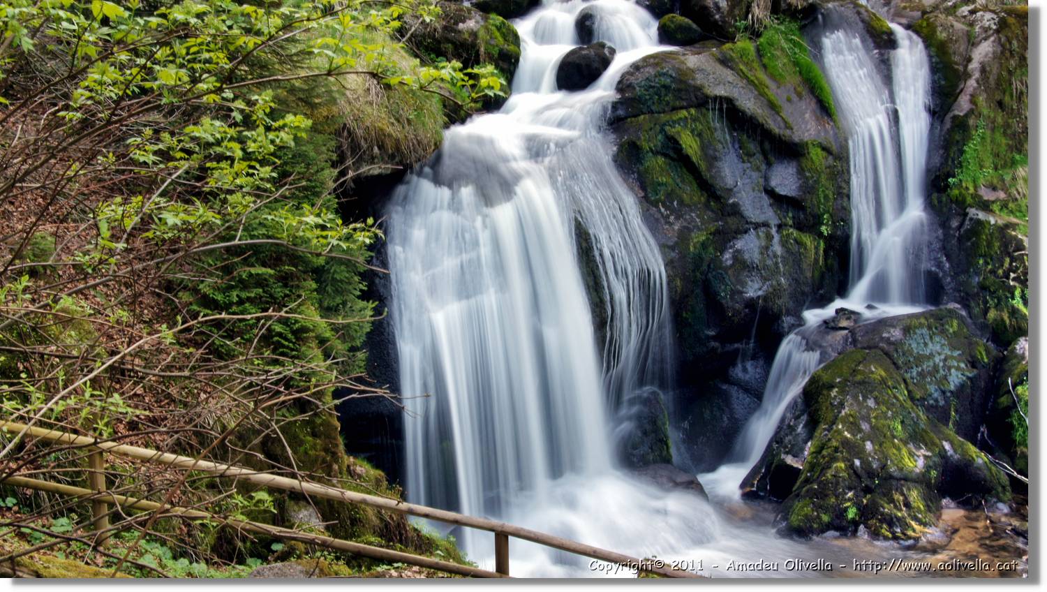 Triberg_42.jpg