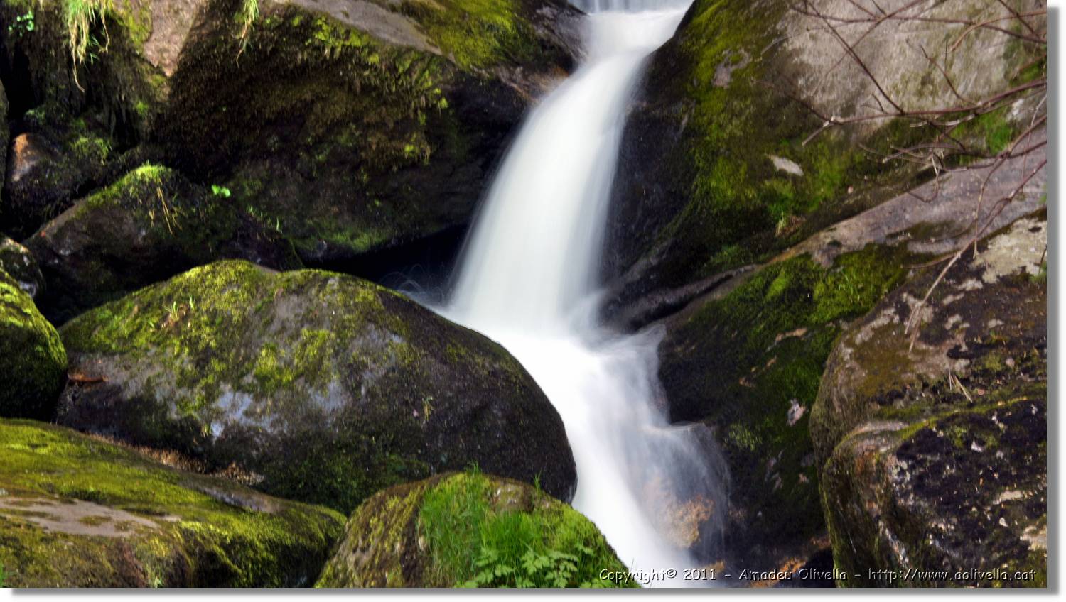 Triberg_46.jpg