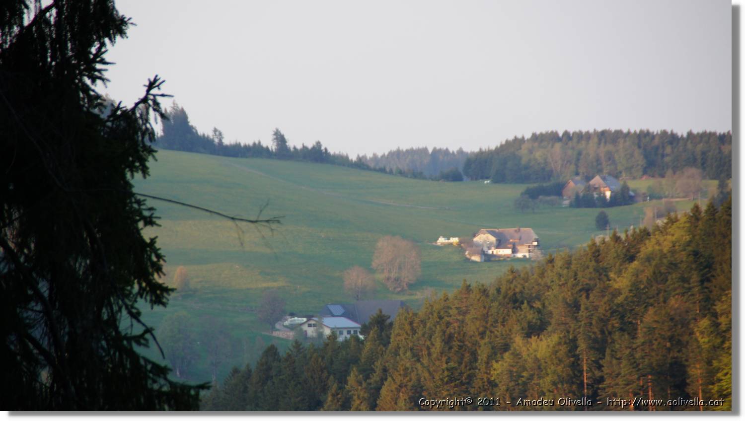 Triberg_47.jpg
