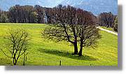 Schauinsland_11.jpg