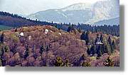 Schauinsland_17.jpg