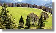 Schauinsland_18.jpg