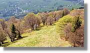 Schauinsland_19.jpg