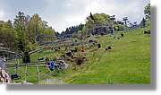 Todnau_02.jpg