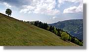 Todnau_18.jpg