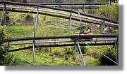 Todnau_24.jpg