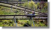 Todnau_25.jpg