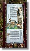 Triberg_14.jpg