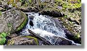 Triberg_18.jpg