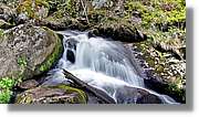 Triberg_19.jpg