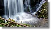 Triberg_25.jpg