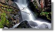 Triberg_35.jpg