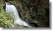 Triberg_38.jpg