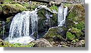 Triberg_40.jpg