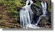Triberg_41.jpg