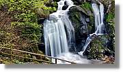 Triberg_42.jpg