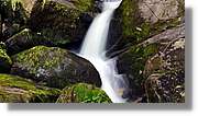 Triberg_46.jpg
