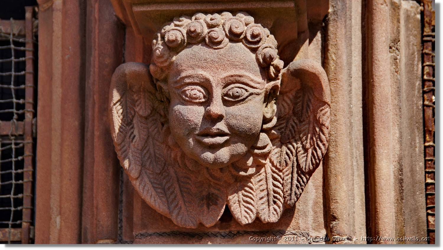 Freiburg_020.jpg