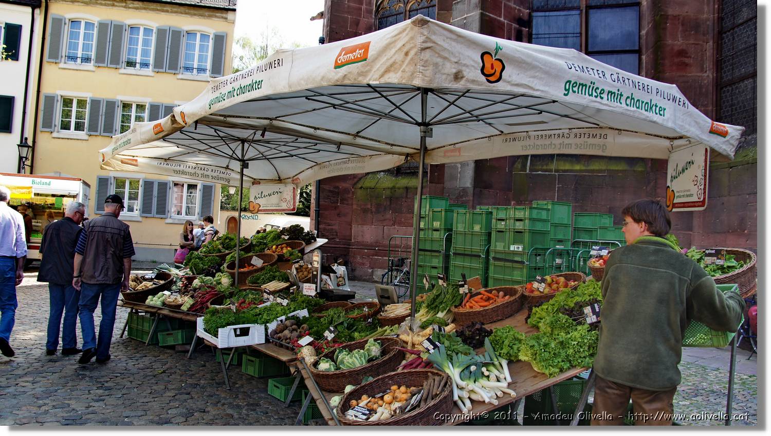 Freiburg_048.jpg