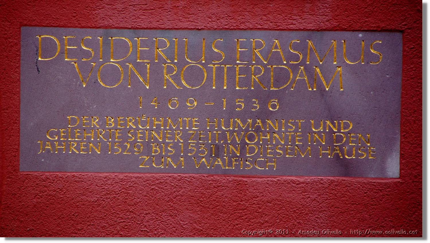 Freiburg_062.jpg