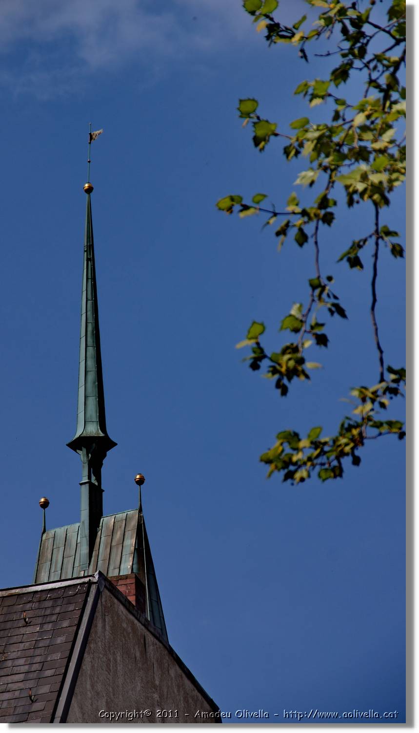 Freiburg_084.jpg