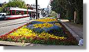 Freiburg_077.jpg