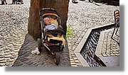 Freiburg_095.jpg