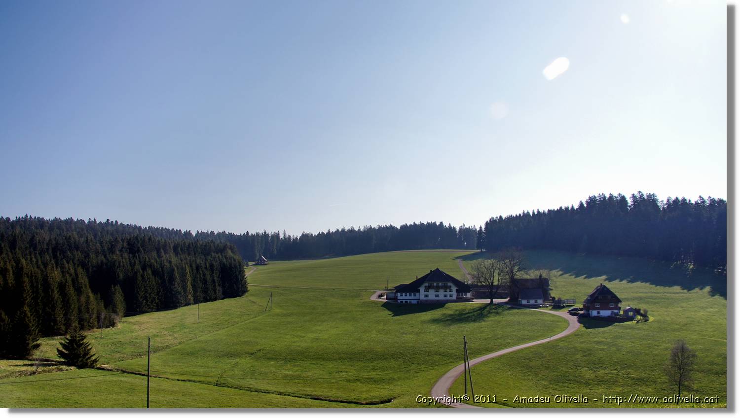 Schwarzwald_001.jpg