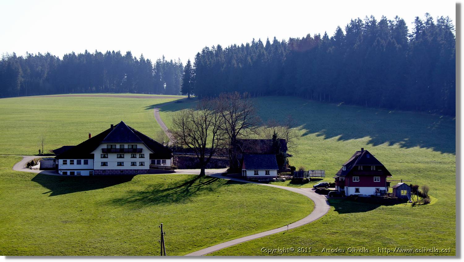 Schwarzwald_002.jpg