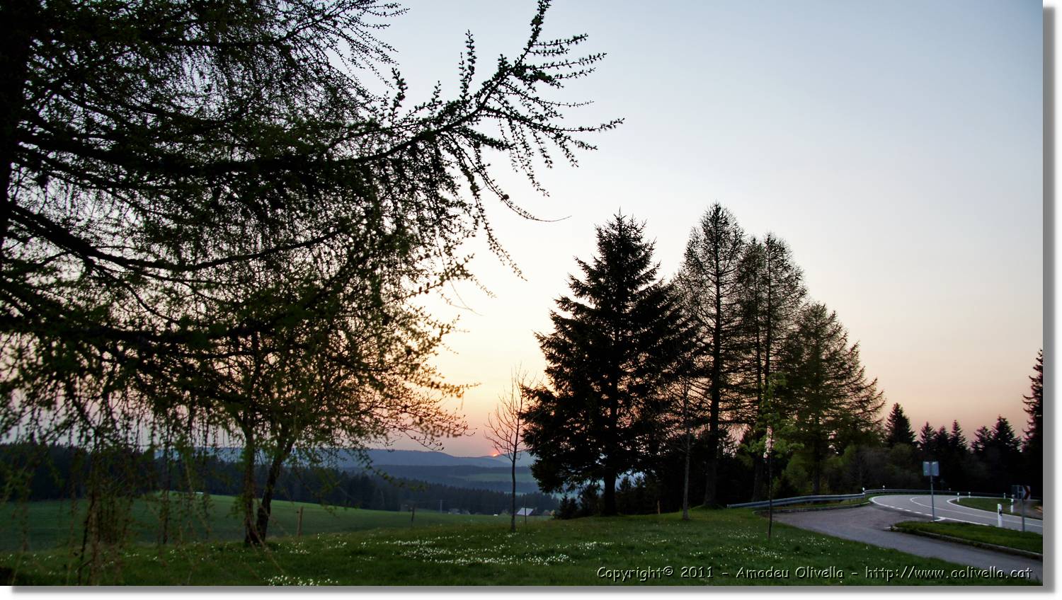 Schwarzwald_009.jpg